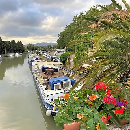 Blue Diamond * Salles-dʼAude